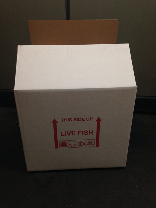 LARGE LID BOX